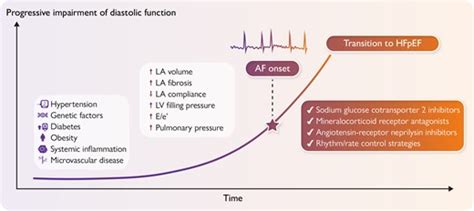 Beyond The Rhythm Atrial Fibrillation Diastolic Dysfunction And