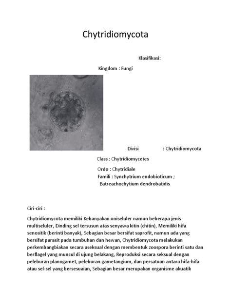 Chytridiomycota Pdf