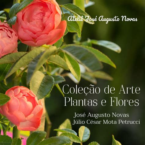 Plantas E Flores Cd Album By Jos Augusto Novas Spotify