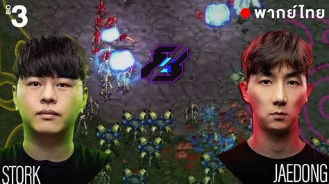 Starcraft Gamers8 2023 Stork P vs JaeDong Z ไทย YouTube