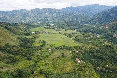 Consulta Impuesto Vehicular En Departamento De Huila