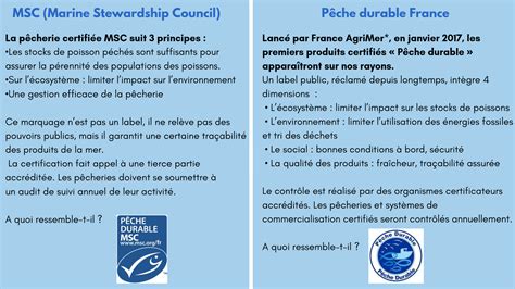 Reconnaître les logos pour une pêche durable