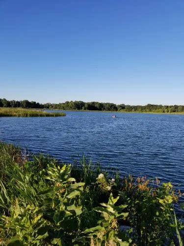 Best Hikes And Trails In Mallard Lake Forest Preserve Alltrails