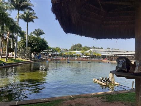 Parque Maeda Itu Atualizado O Que Saber Antes De Ir Sobre O