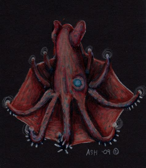 Vampire Squid by SpacerHunterZORG on DeviantArt