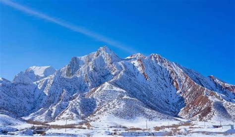 【图说新疆】新疆玛纳斯：皑皑白雪映碧空 骆驼漫步在山间 天山网 新疆新闻门户