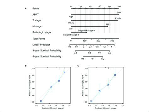 Establishment And Validation Of A Predictive Nomogram A Nomogram