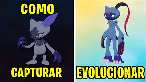 Como Capturar A Sneasel Hisui Y Evolucionar A Sneasler Hisui En Pokemon