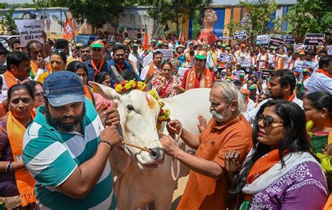 Congress Not Walking The Talk On Repealing Karnataka Anti Cow Slaughter