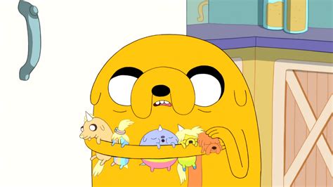 Image S5e6 Jake Holding His Puppiespng Adventure Time Wiki