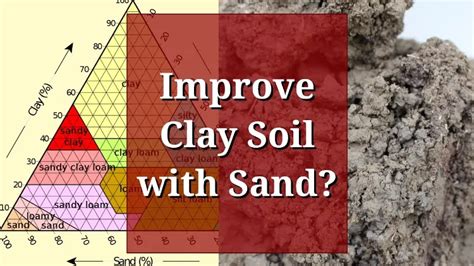 How To Improve Drainage In Clay Soil 10 Expert Tricks