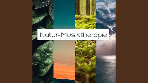 Natur Musiktherapie Naturger Usche Meditationsmusik Song Lyrics