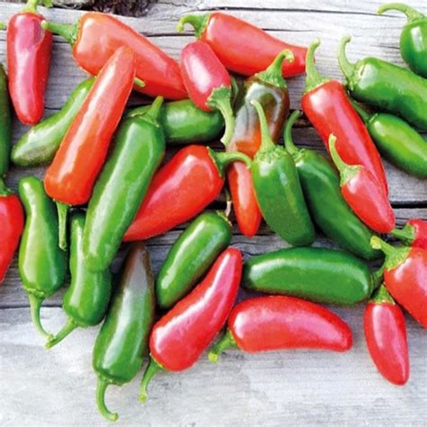 Nasiona Papryka Chili Jalapeno Afr6