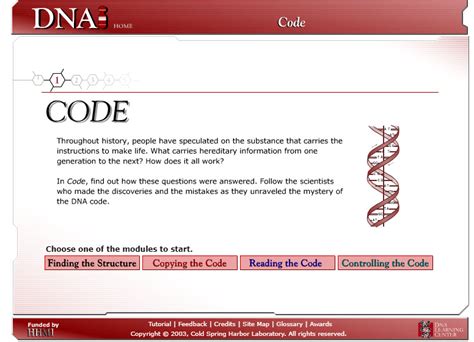 dna interactive code submitted  natalia arbouzova stao
