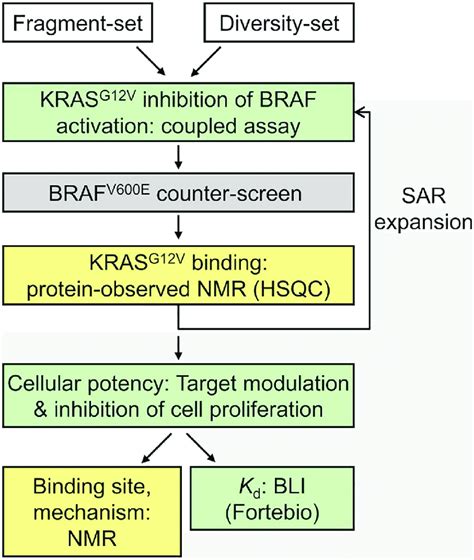 Workflow To Identify And Validate Chemical Matter That Inhibits KRAS