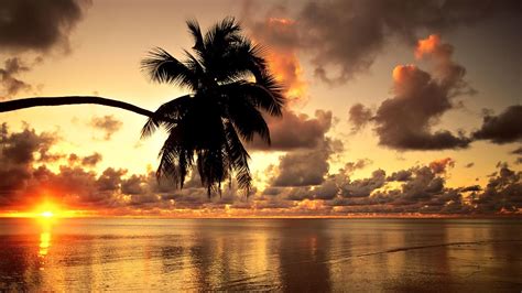 1920x1080 Hawaii Beach Sunset Landscape Clouds Nature Photography Palm