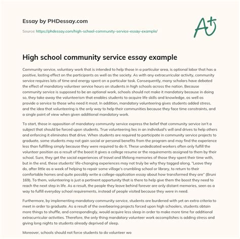 High School Community Service Essay Example