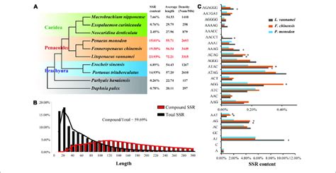 Simple Sequence Repeats SSRs In Penaeid Shrimp Genomes A