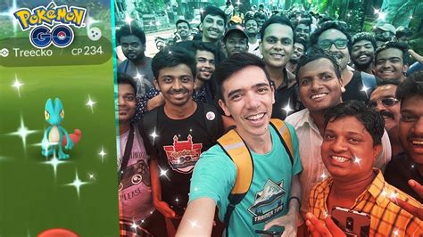 THE CRAZIEST COMMUNITY DAY EVER Treecko Community Day In India