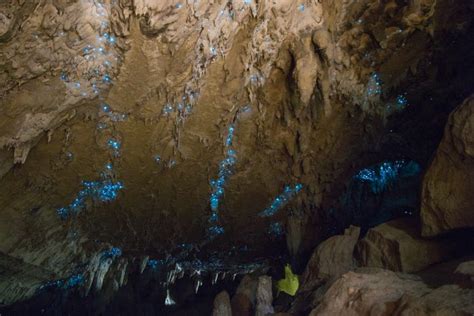 Natural Wonders: Glowworm Caves » Explorersweb