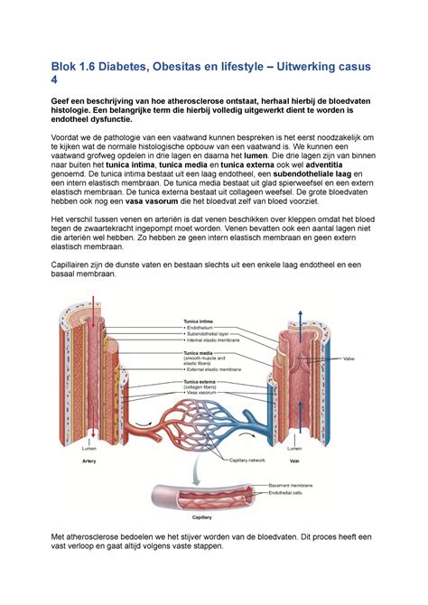 Blok 1 6 Diabetes Obesitas En Lifestyle Uitwerking Casus 4 Blok 1