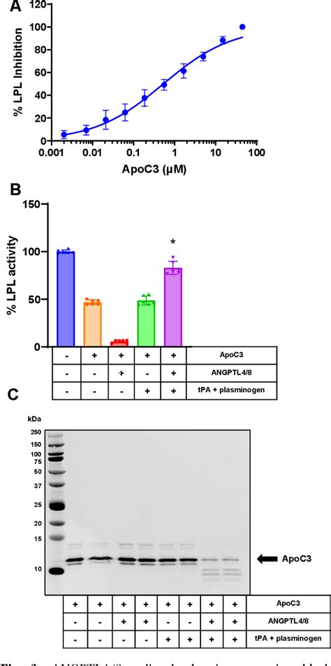 Figure 3 From Decoding The Role Of Angiopoietin Like Protein 4 8