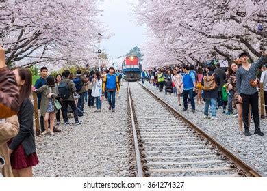 2,296 Jinhae Korea Images, Stock Photos & Vectors | Shutterstock