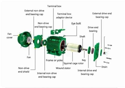 Weg Three Phase Motor Exploded View Pdf Pdf 58 Off