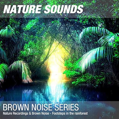 Nature Recordings And Brown Noise Footsteps In The Rainforest Nature