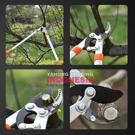 Jual Baru Gunting Panjang Pemotong Dahan Ranting Pohon Telescopic