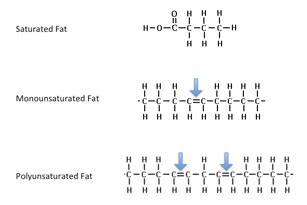 What fats are best to cook with - Steve Grant Health