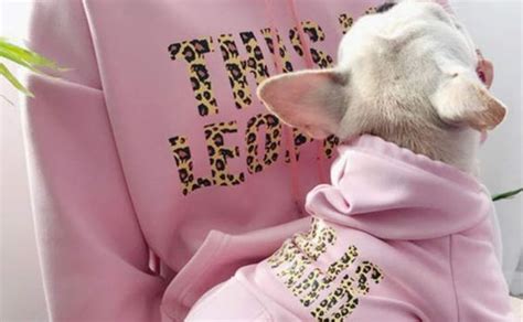 Create merch for the *entire* family with new pet hoodies 🐾 - Spring