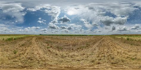 Spherical 360 Hdri Panorama Among Yellow Harvested Farming Field With