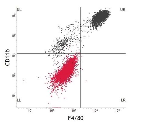 Flow Cytometry Image