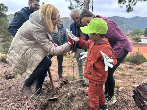 En El Primer Trimestre De 2024 Es Plantaran 12 000 Arbres De 50