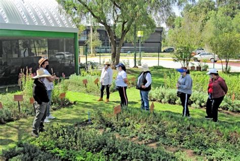 Jardines De Polinizadores Qu Son Y Para Qu Sirven Noro