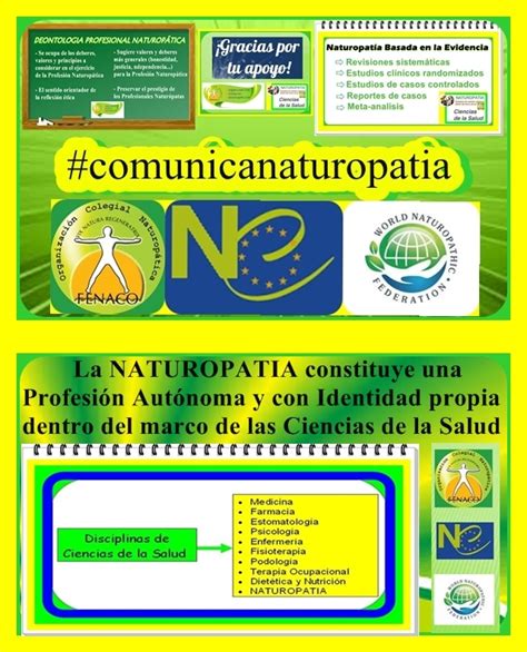 La Naturopat A Constituye Una Profesi N Aut Noma Y Con Identidad Propia