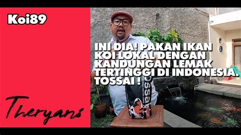 Ini Dia Pakan Ikan Koi Lokal Dengan Kandungan Lemak Tertinggi Di