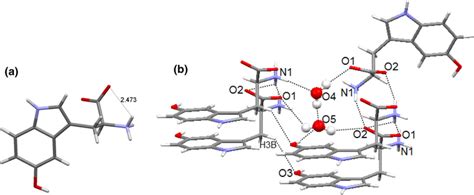 Intramolecular A And Intermolecular Hydrogen Bonding Between The Two Download Scientific