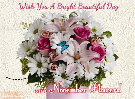 Beautiful Bright November Flowers Free November Flowers Ecards 123 Greetings