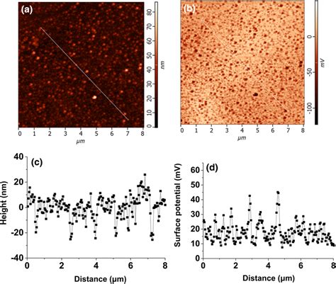 The Afm And Kfm Of Aggese2al Surface A Topography Of Aggese2 Surface