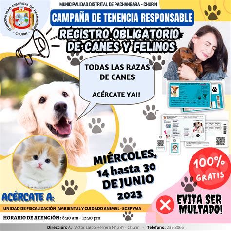 Campa A De Tenencia Responsable De Canes Y Felinos Totalmente Gratuito