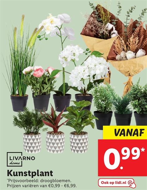 Livarno Home Kunstplant Aanbieding Bij Lidl