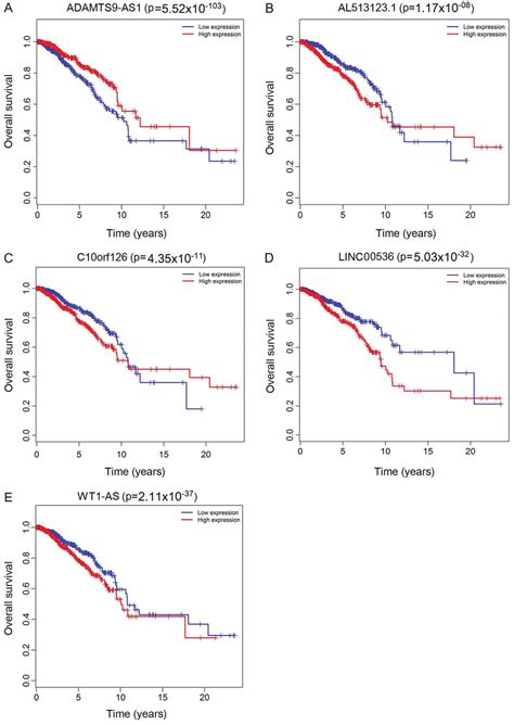 Kaplan Meier Survival Curves For 5 Differentially Expressed Long Download Scientific Diagram