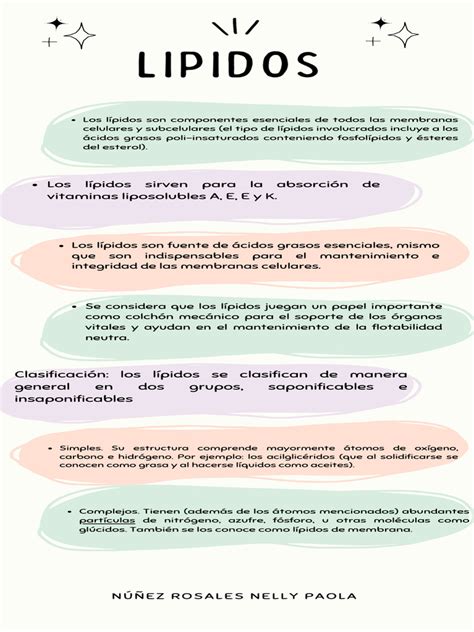 Infografia Lipidos Pdf