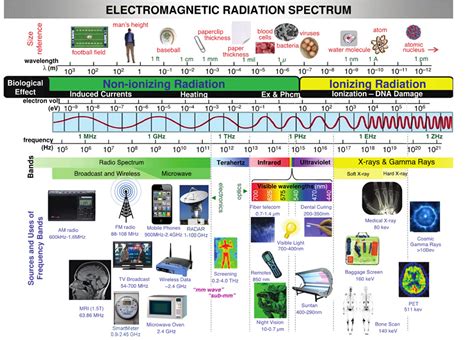 The 3g4g Blog Cellphone Radiation And Cancer