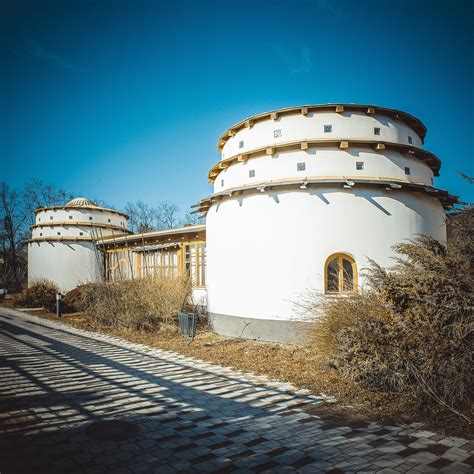 MX Vital Forum: Health, Wellness, and Community Discussions 2