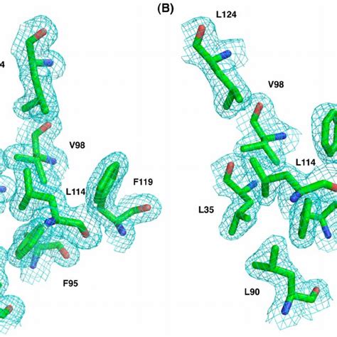 Representative 2fo Fc Electron Density Map Contoured To 10 σ Of Both