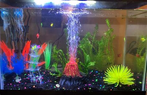 5 Cool Fish Tank Themes That Will Inspire You | BeChewy