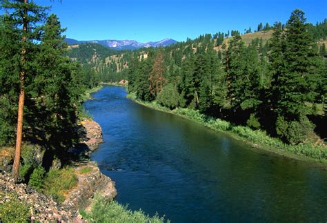 Clark Fork River - Montana Fly Fishing Experience